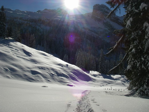 Aufstieg oberhalb Baumgrenze